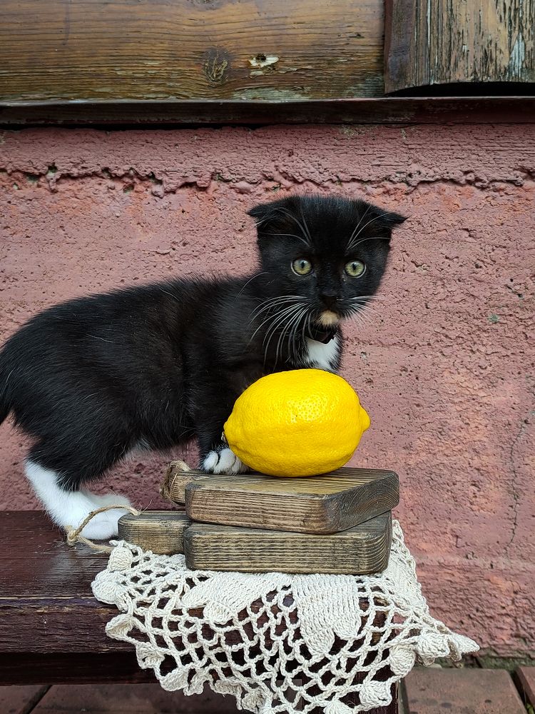 Photograph by Рина Хуртова