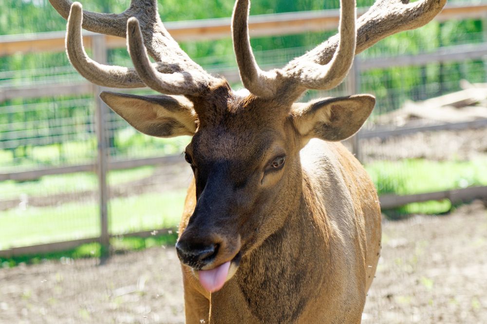 Photograph by Иван Кривоносов