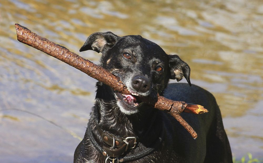 Фотография автора Marina Martorelli