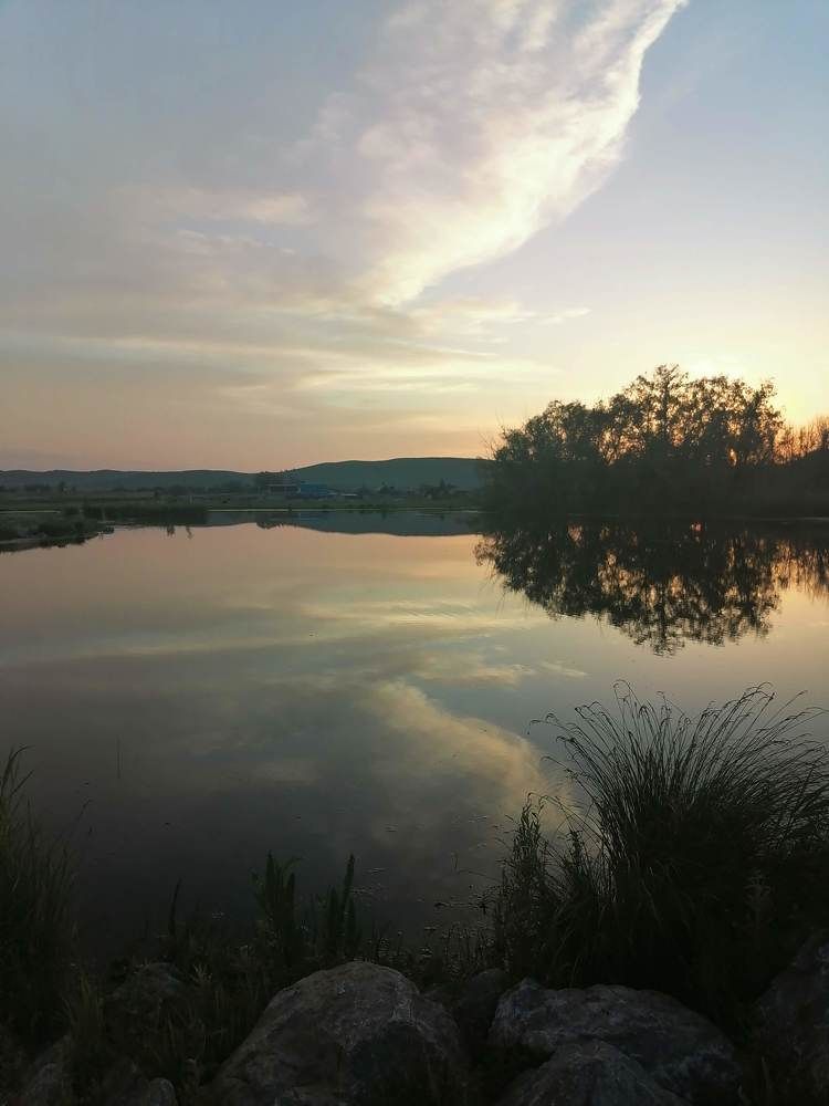 Фотография автора Дина