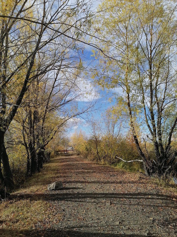 Фотография автора Дина