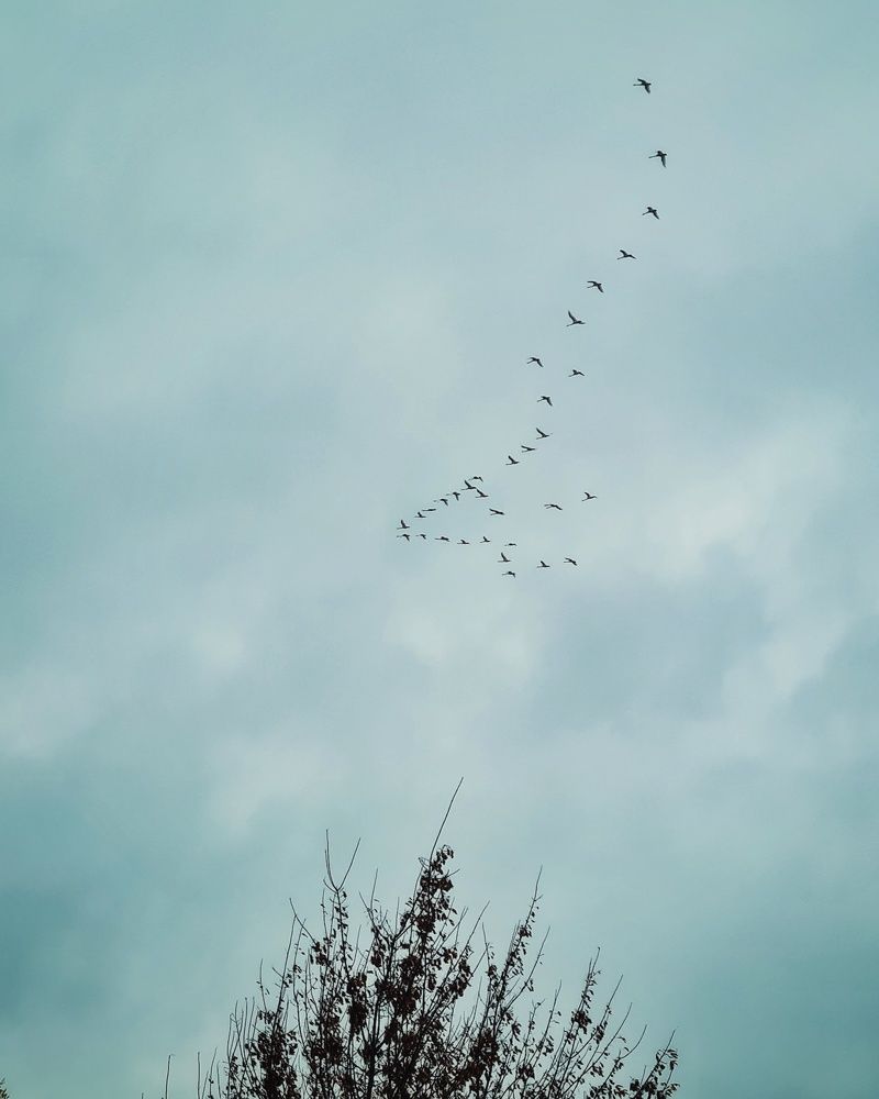 Photograph by Татьяна Соколовская