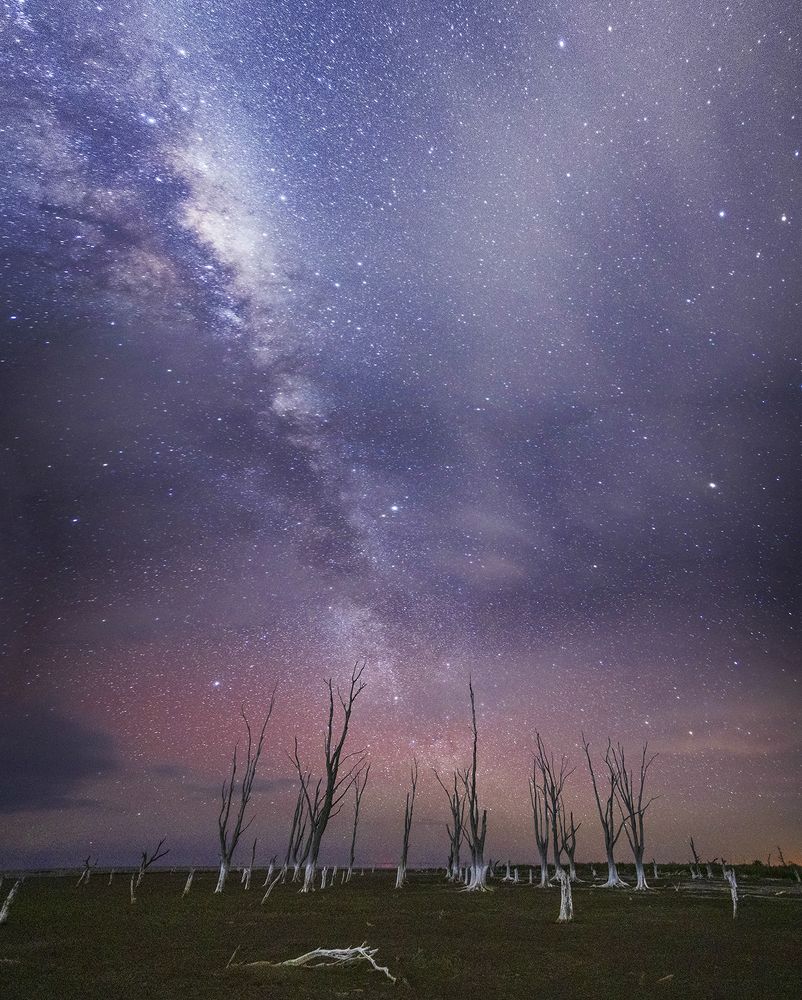 Фотография автора Marina Martorelli