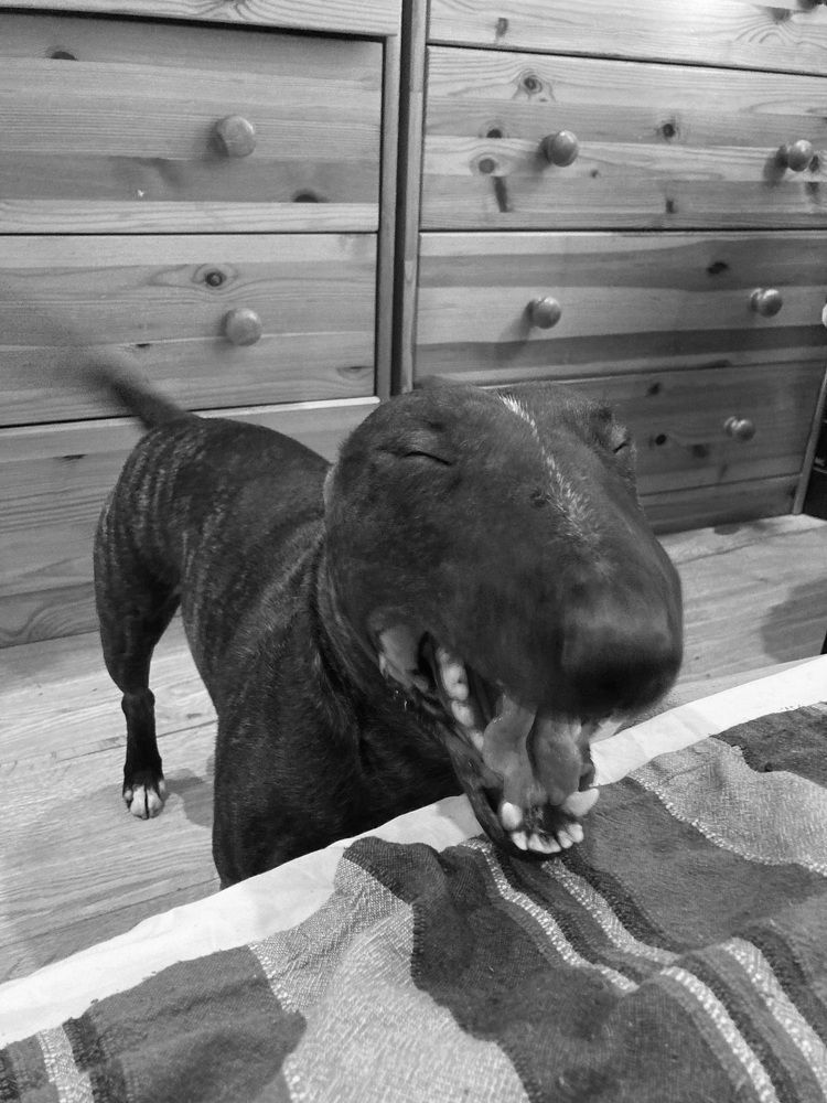 Фотография автора Алина Павлова