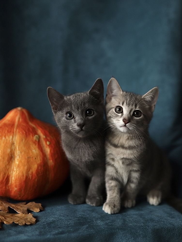 Photograph by Наталья Гусева