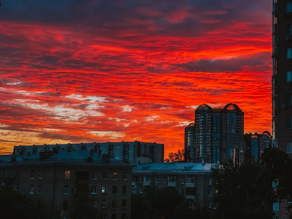 Photograph by Olga Molchanova