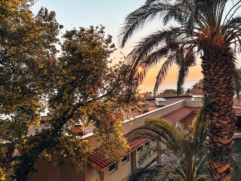 Photograph by Olga Molchanova