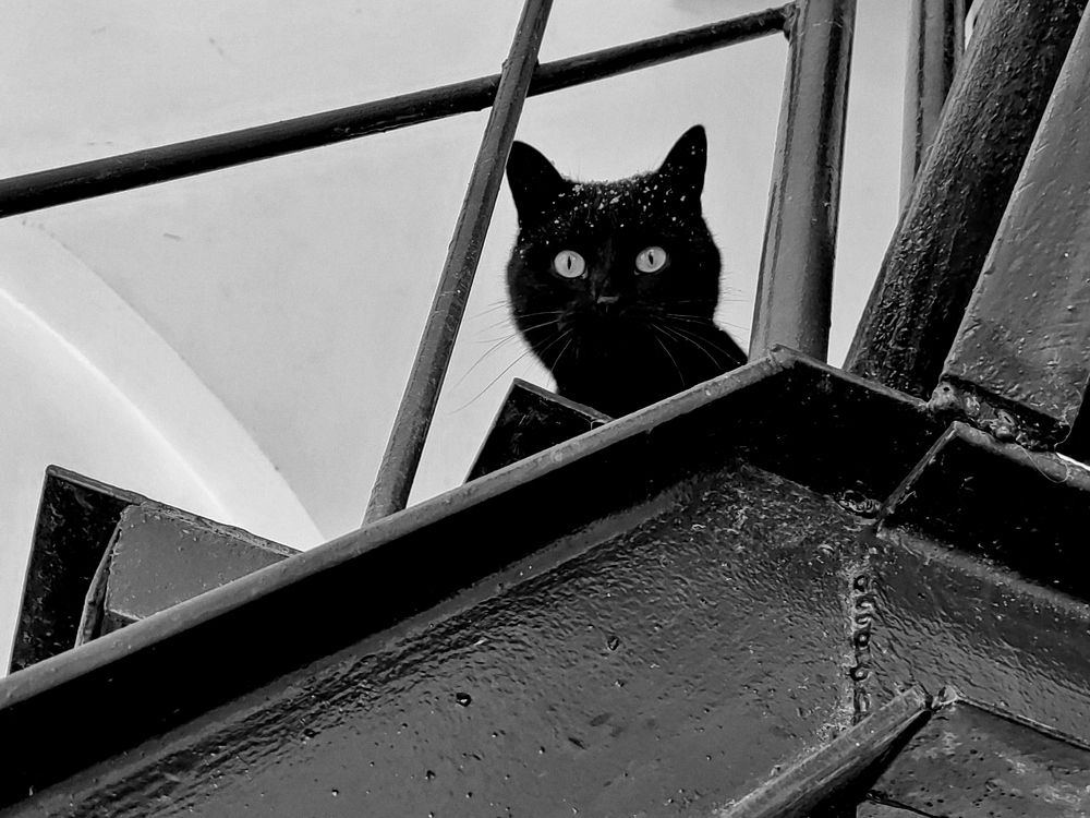 Photograph by Михаил Янкин