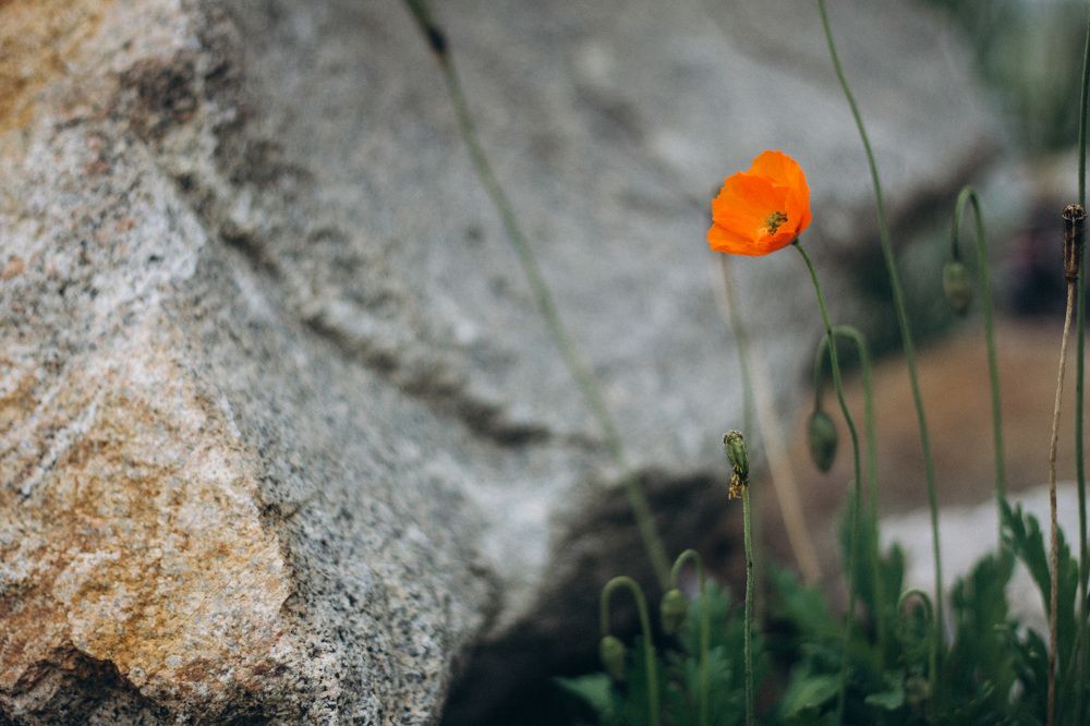 Photograph by Елена Шихалева