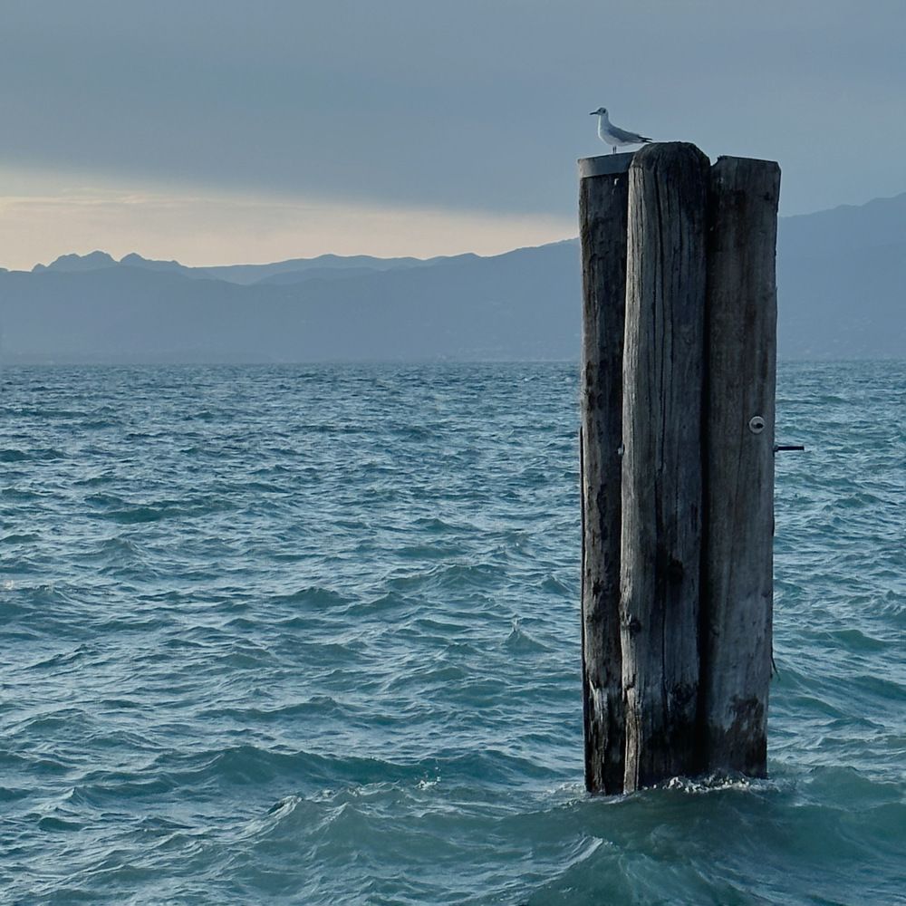 Photograph by Марина Танаева