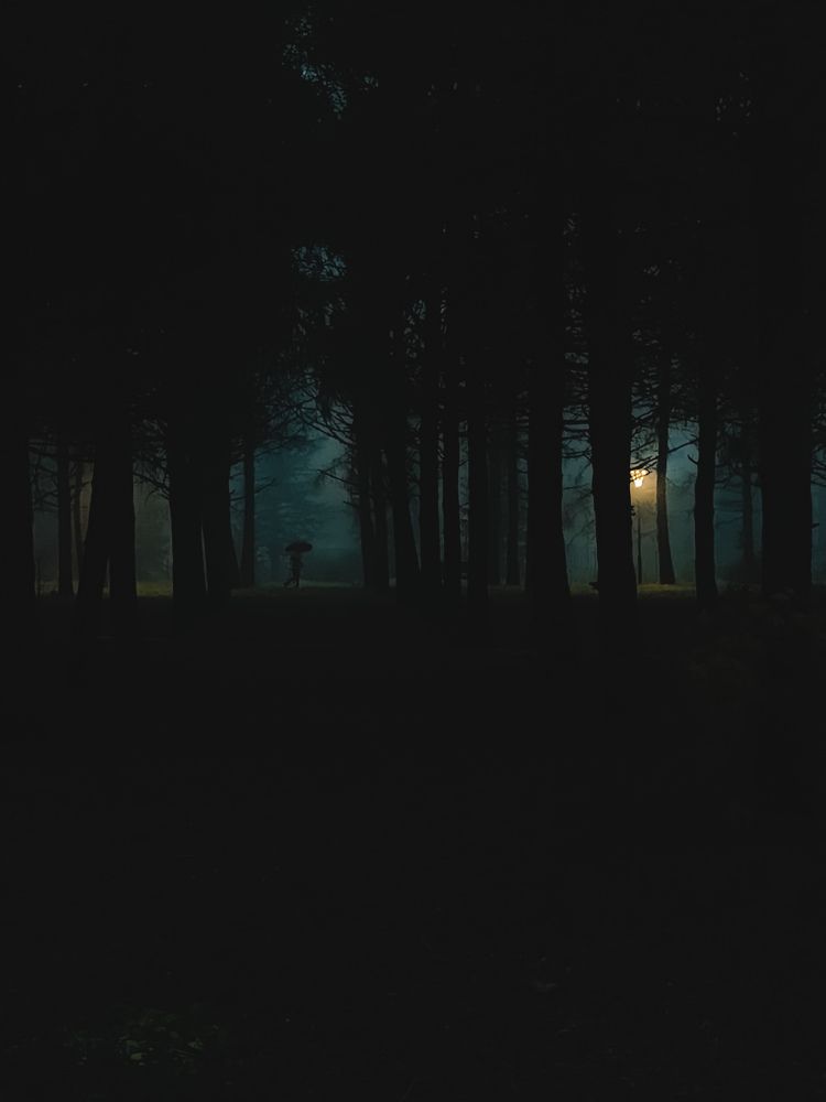 Photograph by Татьяна Кузнецова