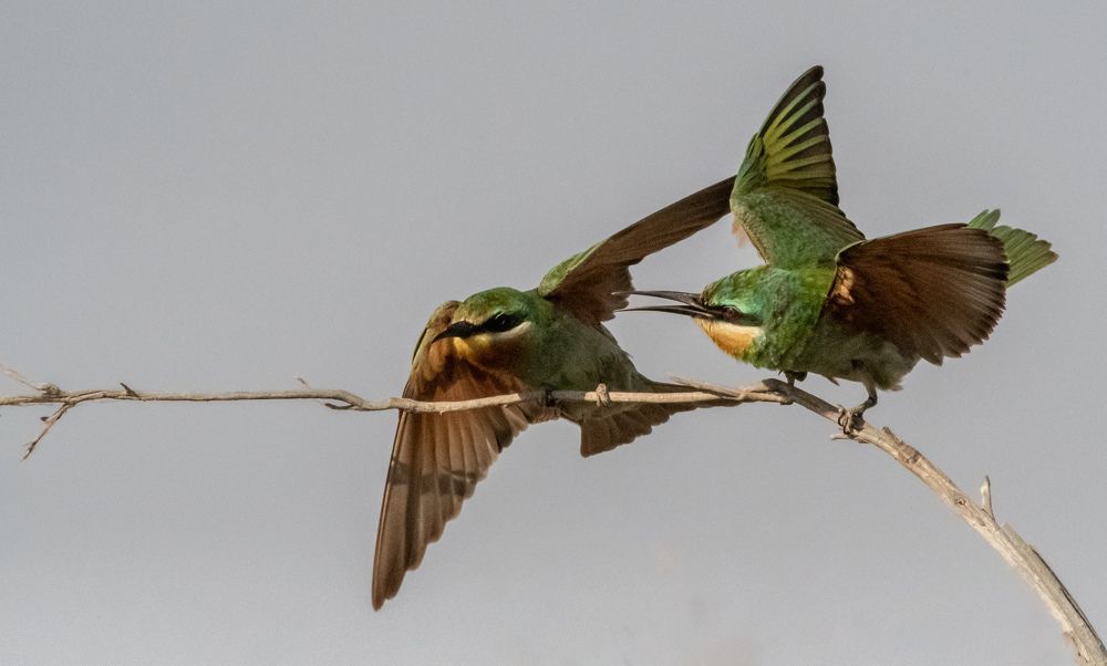 Photograph by Hervie Imus