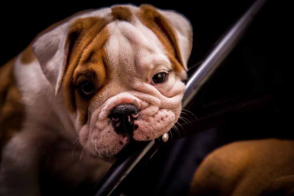 Photograph by Тим Бабурин