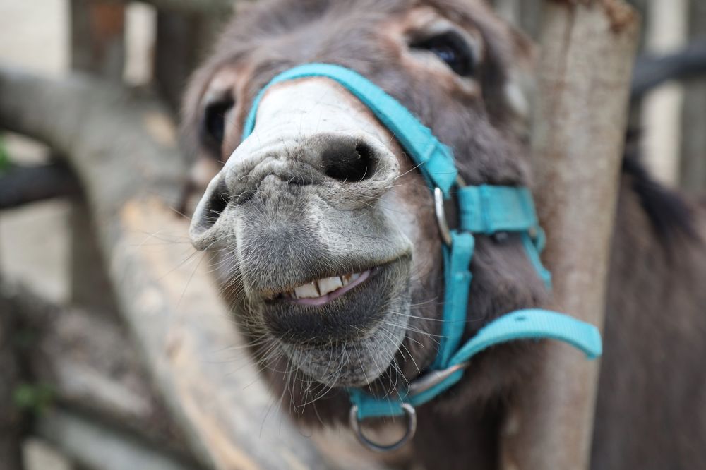 Photograph by Ольга Крюкова