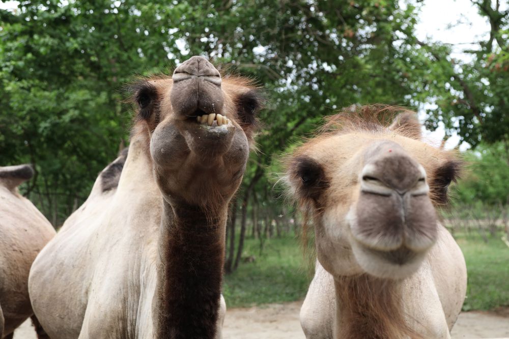 Photograph by Ольга Крюкова