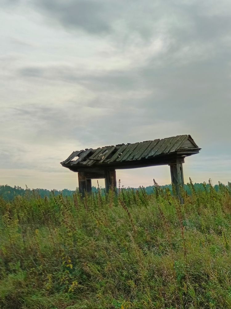 Photograph by Евгения Антропова