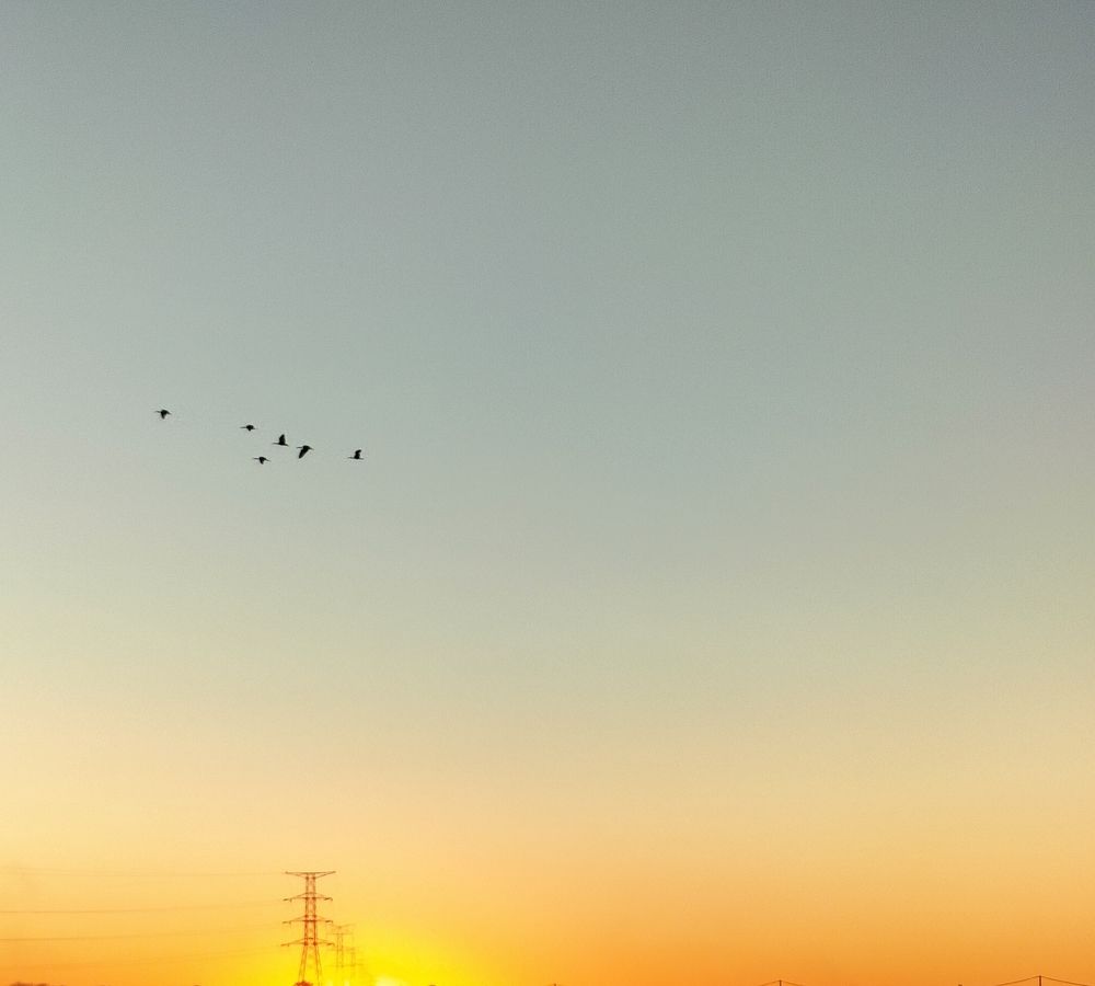 Фотография автора Bernadette Pretorius