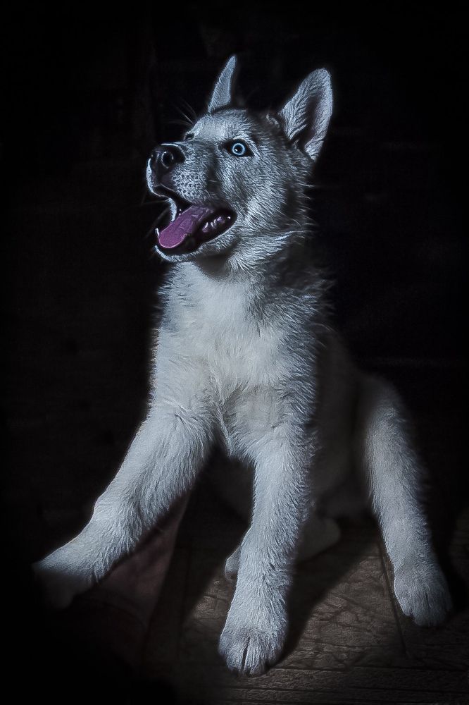 Photograph by Тим Бабурин