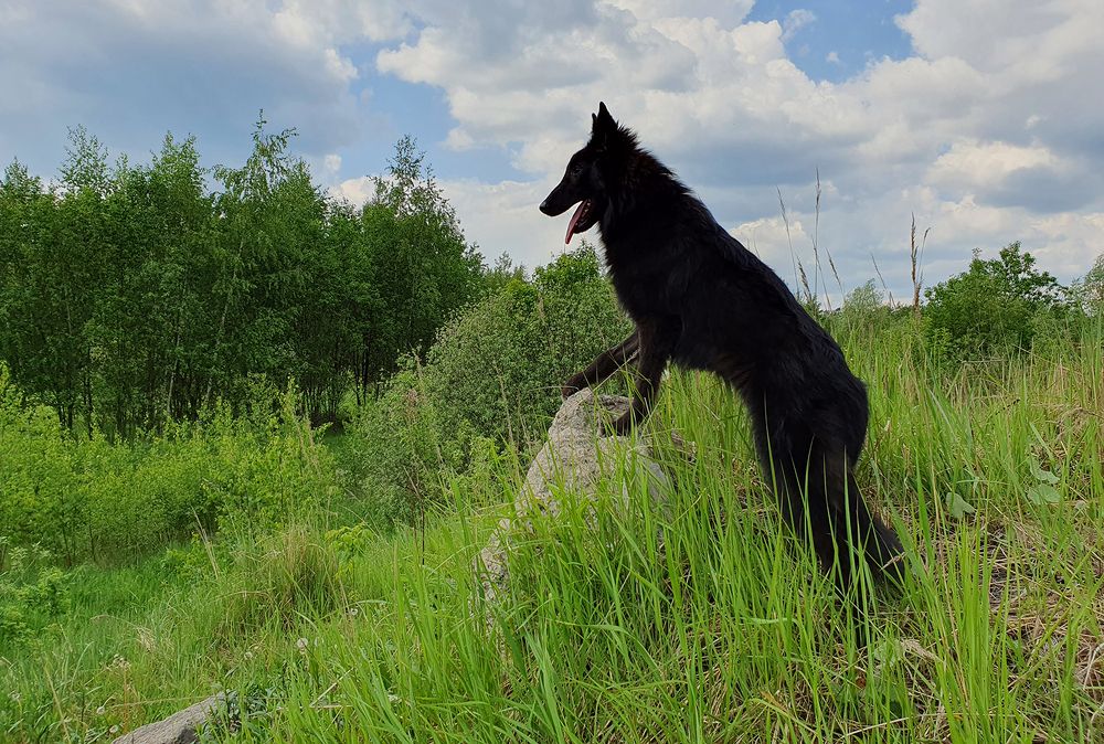 Фотография автора Надежда Лисицына