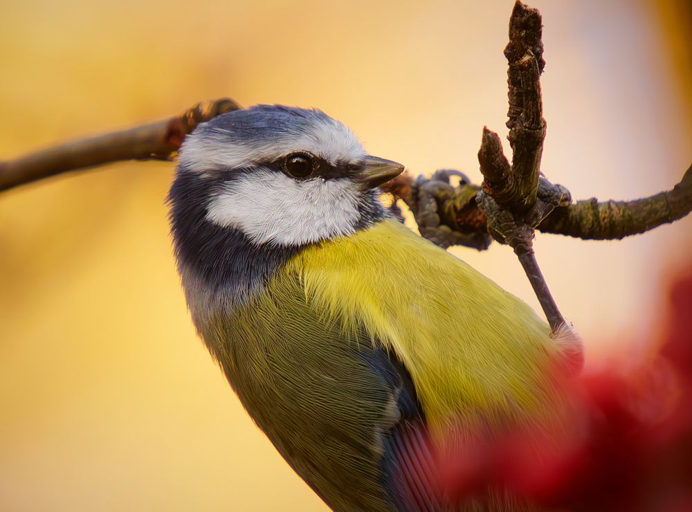 Photograph by Дарья Басова