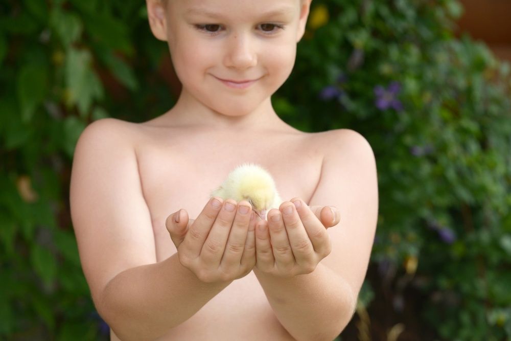 Крошечная жизнь в твоих ладонях