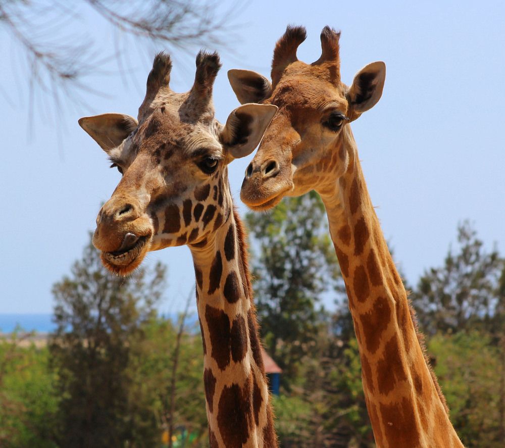 Photograph by Александр Копылов