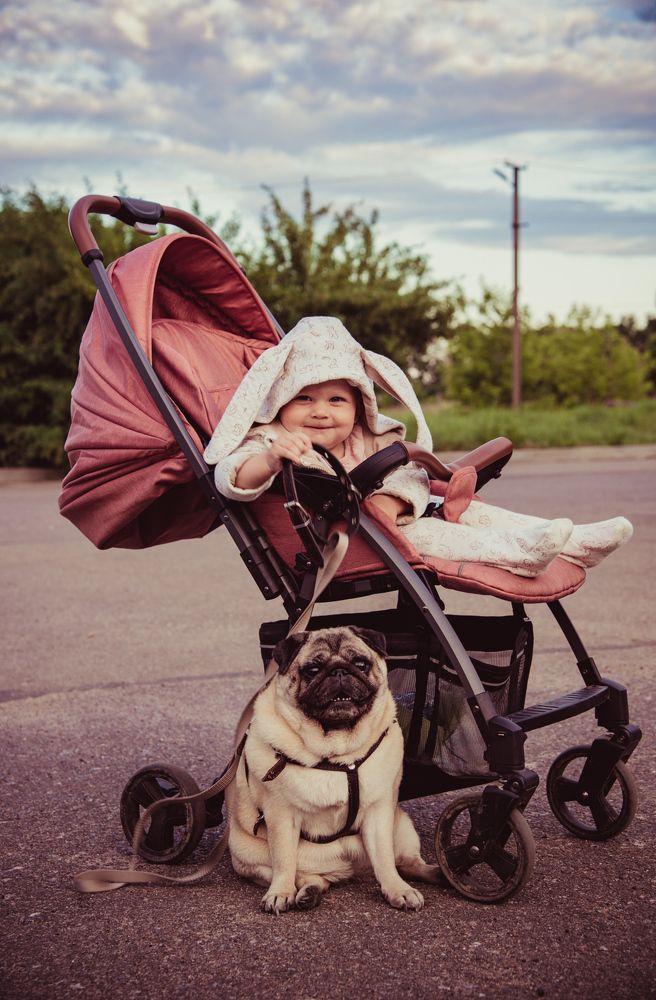 Фотография автора Елизавета Ковалева