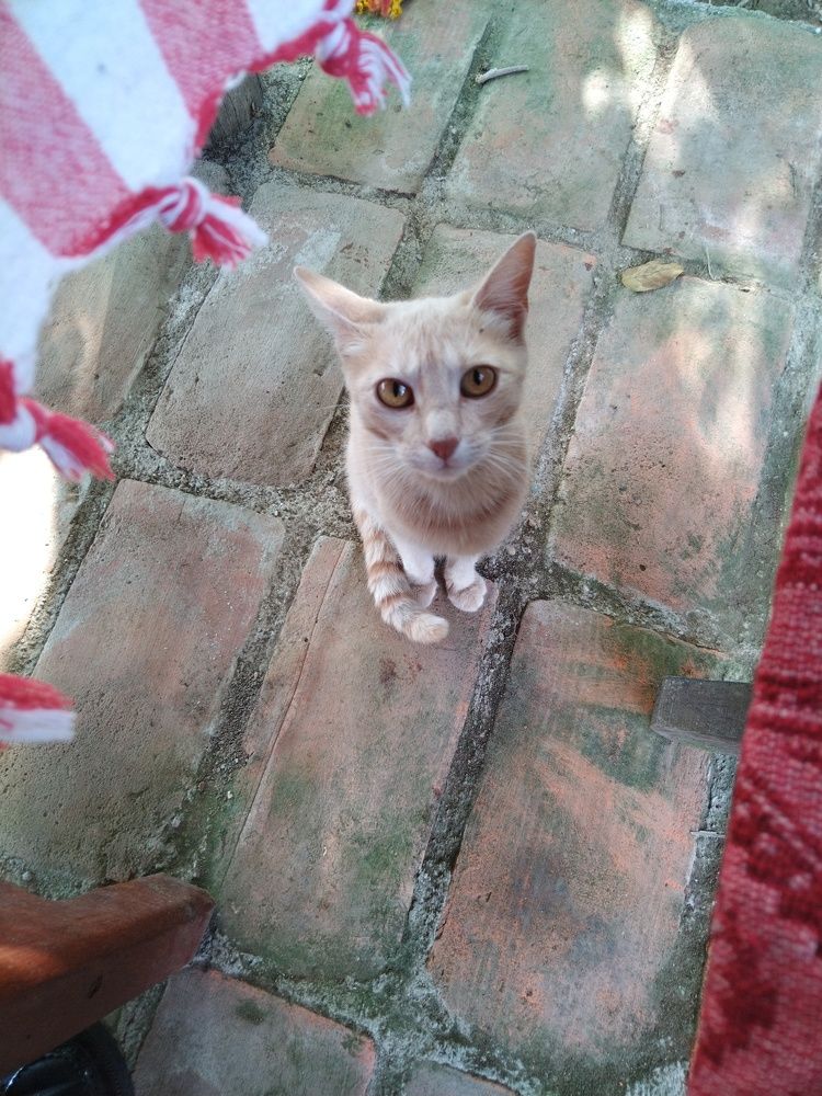 Фотография автора Danica Utjesinovic