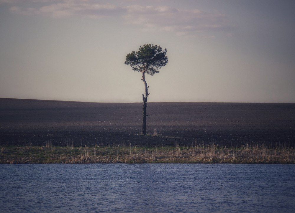 Photograph by Leanid Kulpo