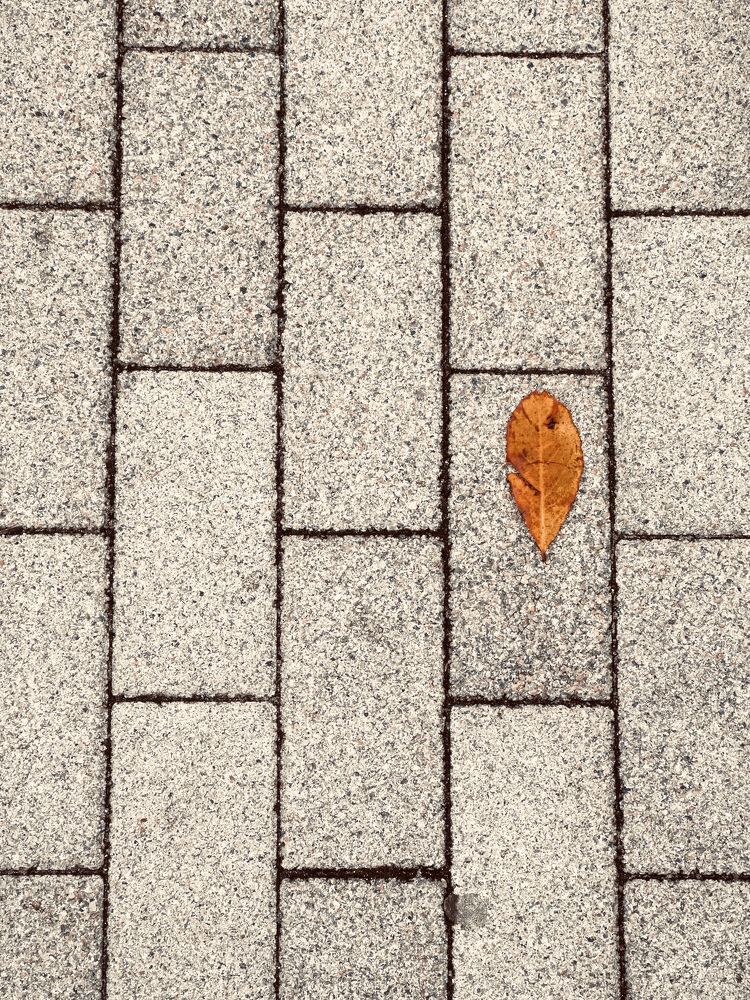 Photograph by Evgenia Privalova