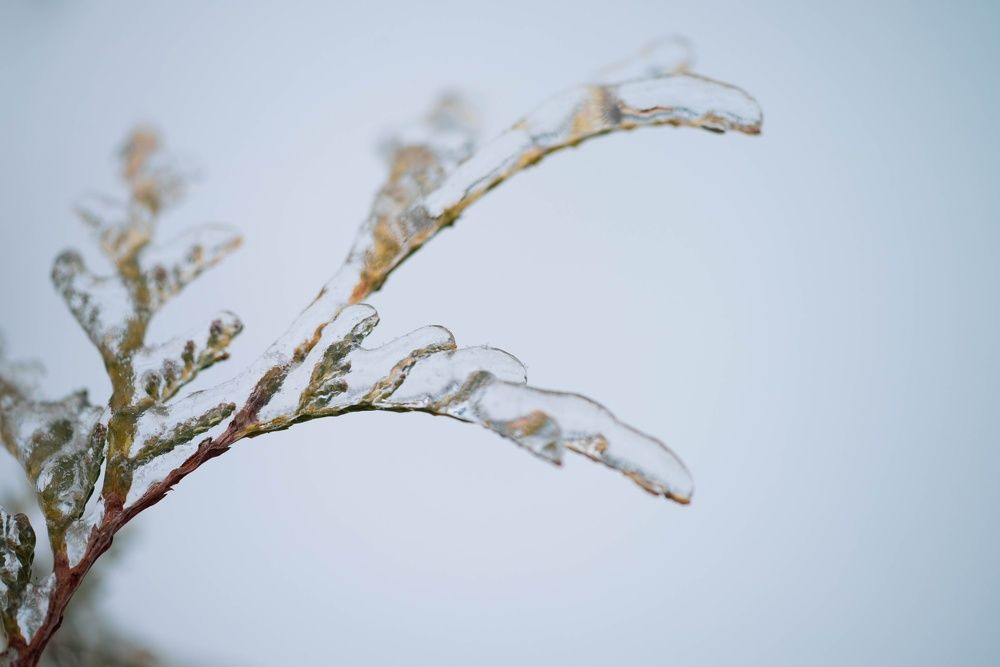 В ледяной броне