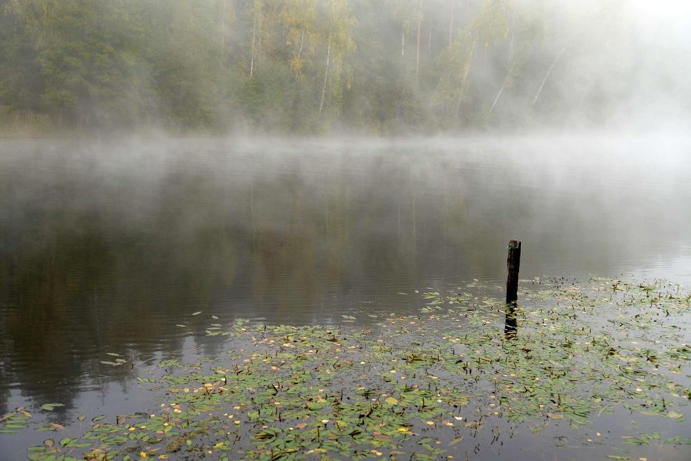 Русалочья заводь