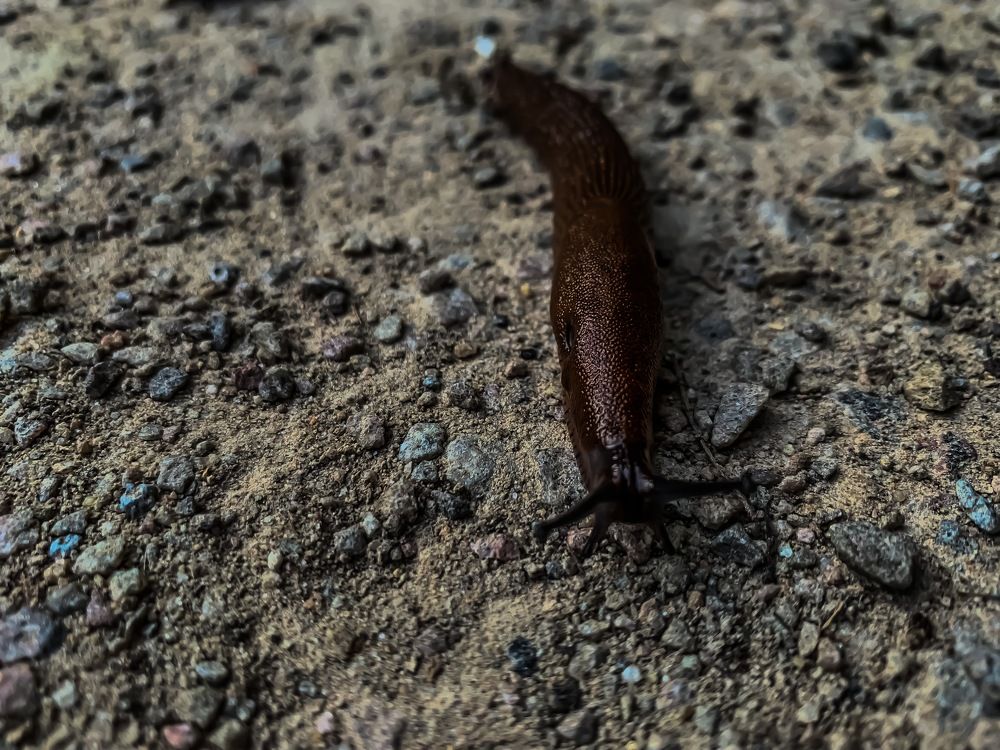 Photograph by Maxim Komissarov