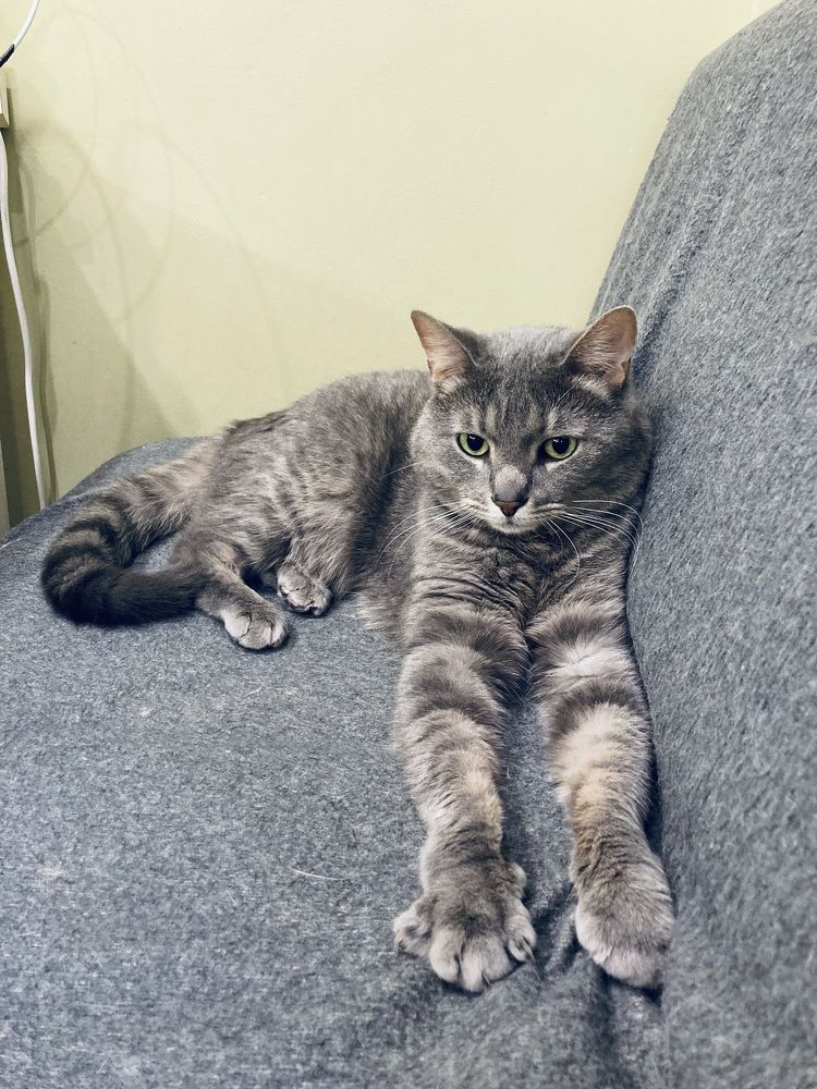 Фотография автора Алина Павлова