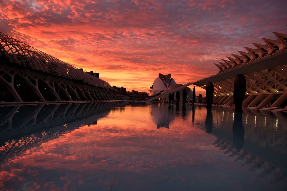 Colors and lines in sunset