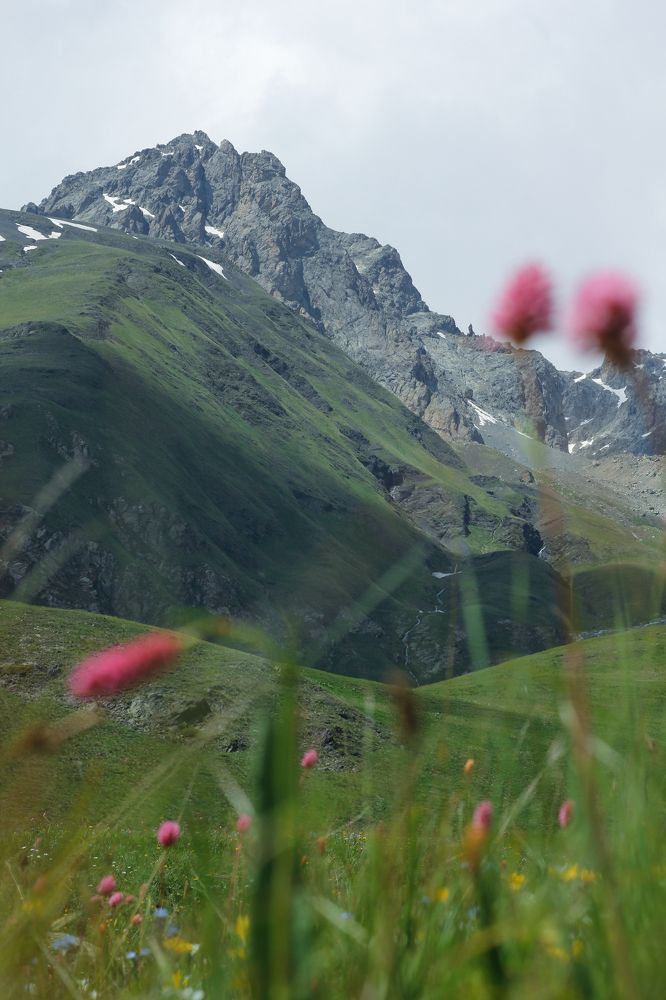 Photograph by Азалия