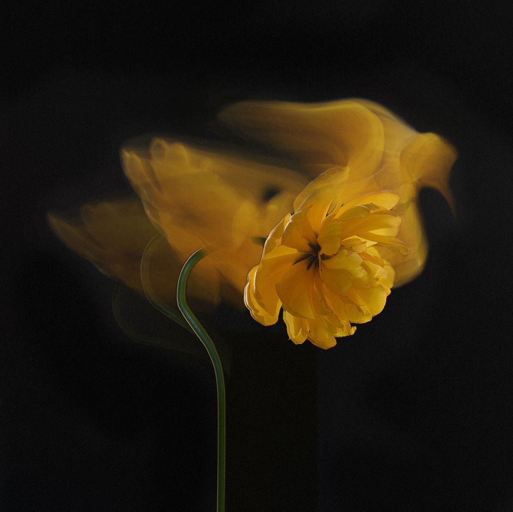 Фотография автора Ольга Афанасенко