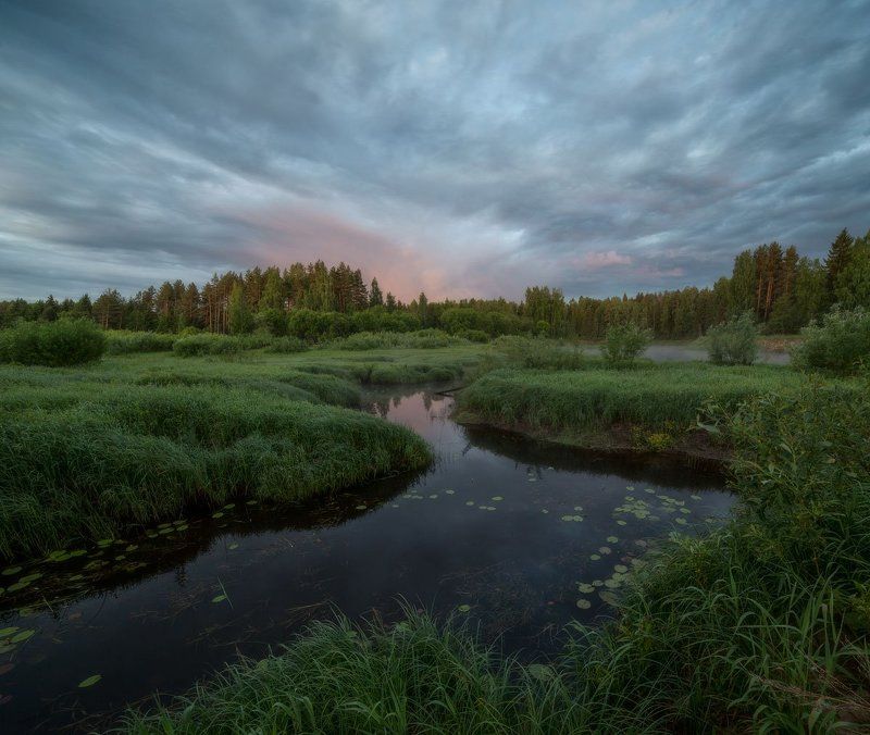 Хохряков Николай, Russia