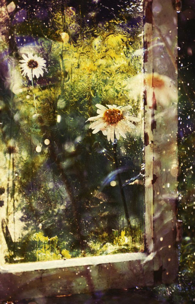 Весеннее утро