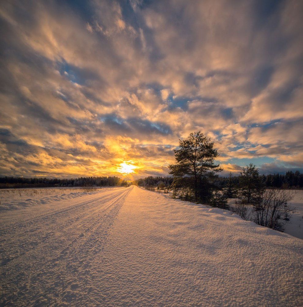 январское солнце...