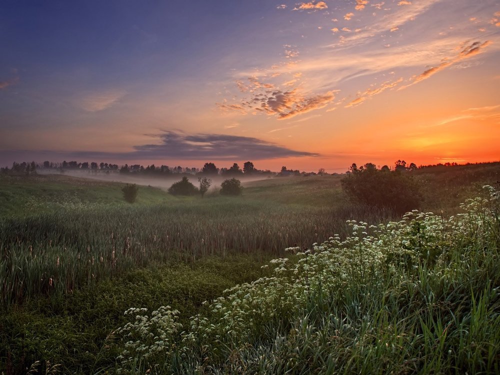 Утро в Шипилово.