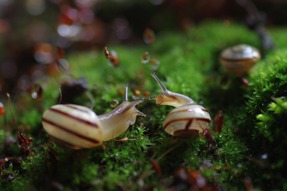 Давай знакомиться!