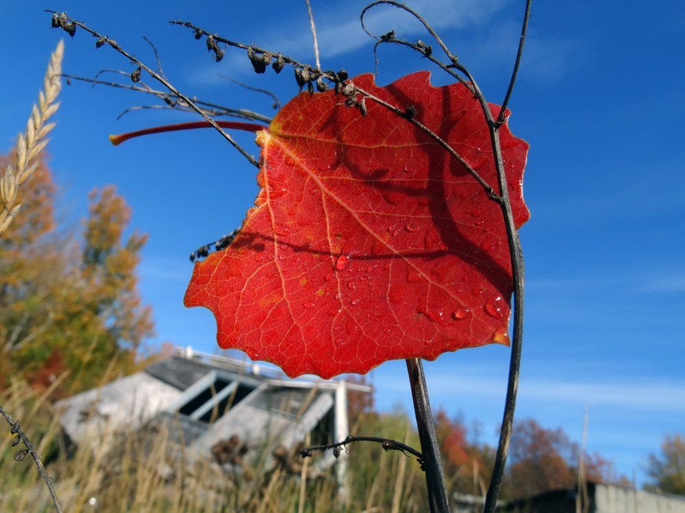 Удержался...