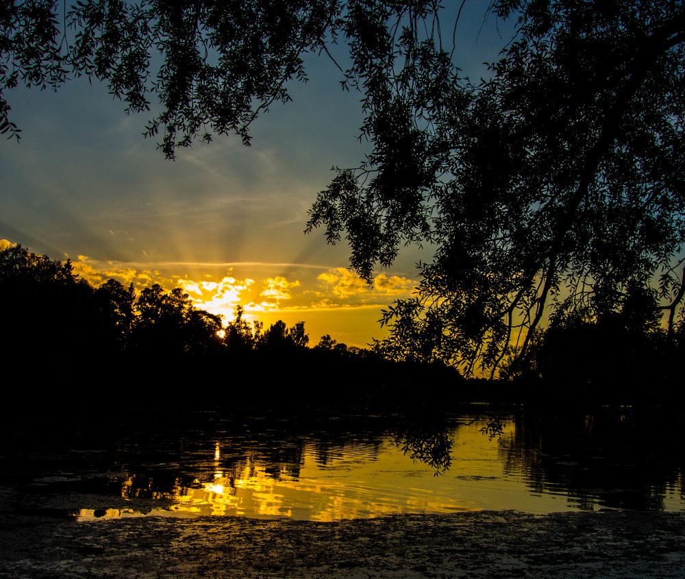 Photograph by Alexandr  Victorencov