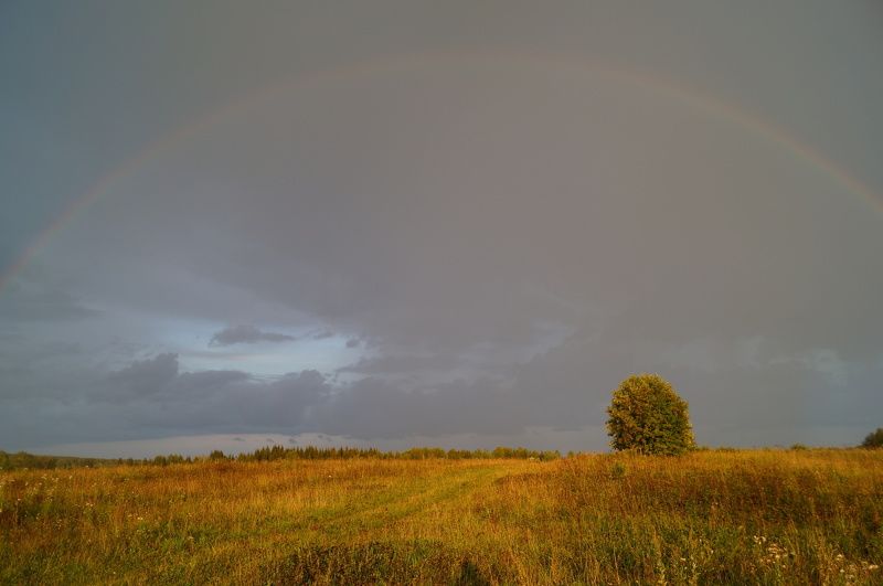 Burkhart Anna, Russia