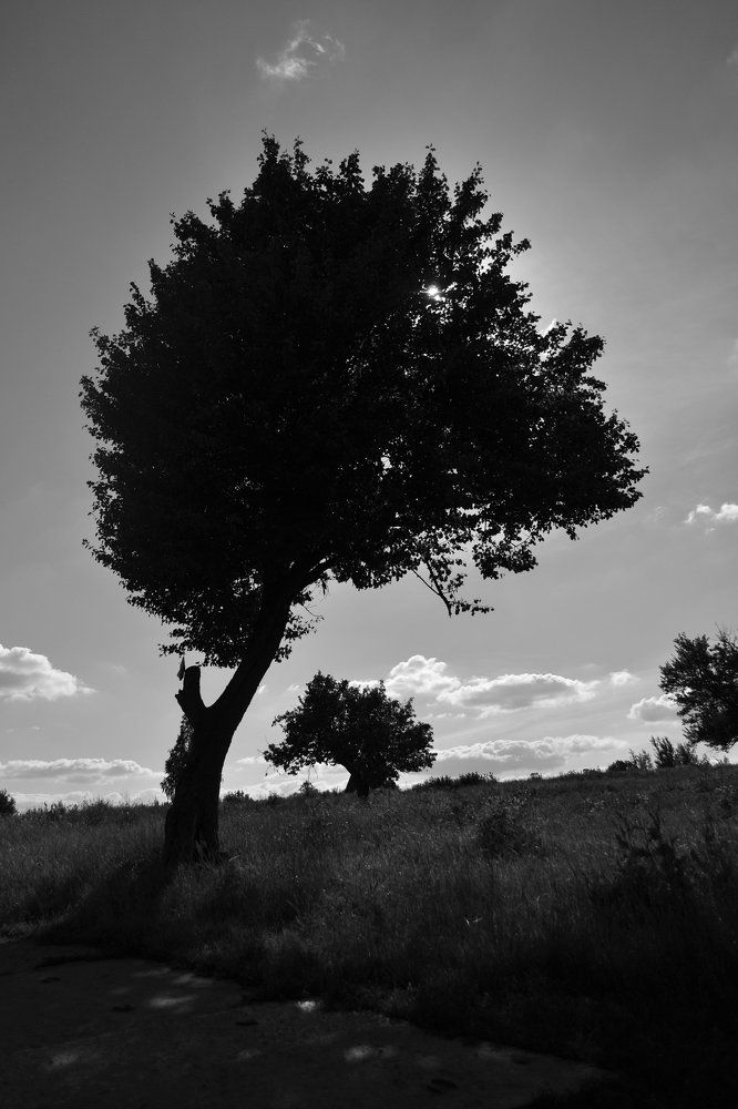 Бесконечность