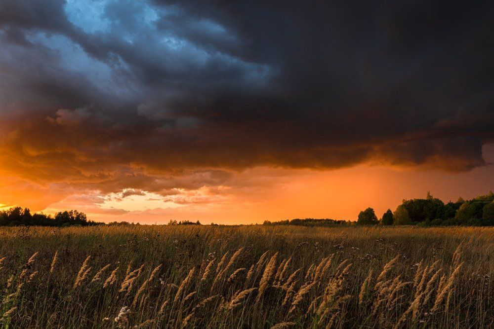 В предчувствии грозы...