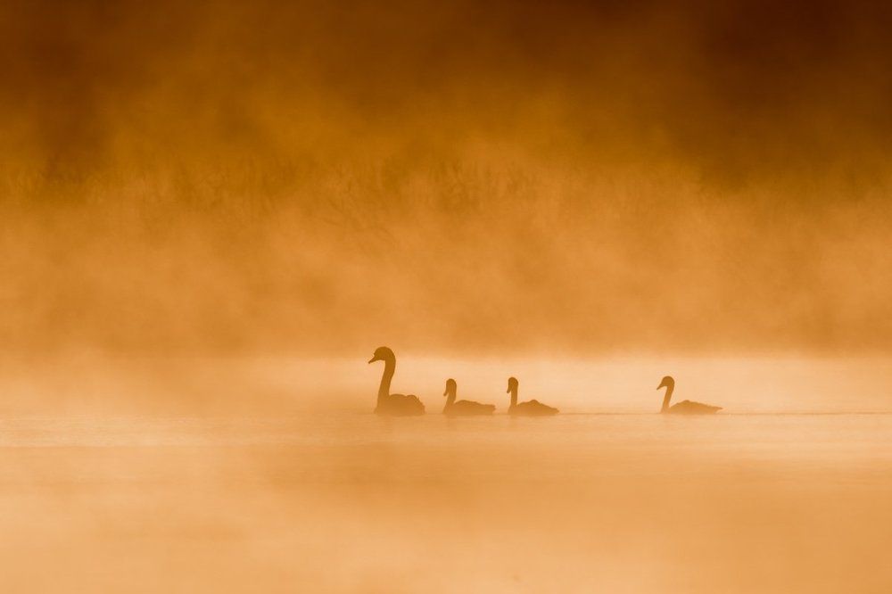 Фотография автора Сергей Овчинников