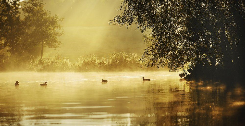 Photograph by voldemars bugoveckis