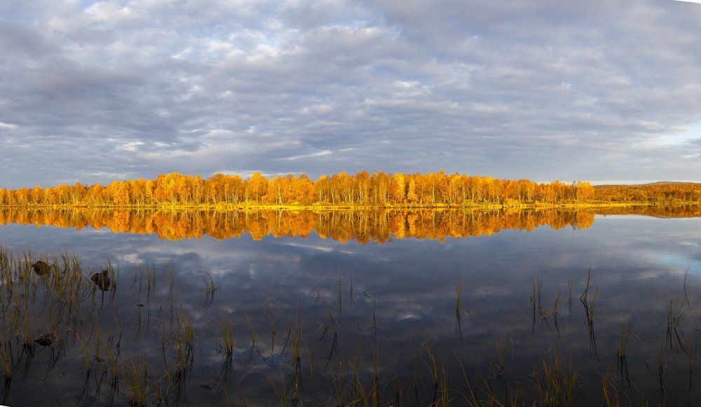 Краски осени